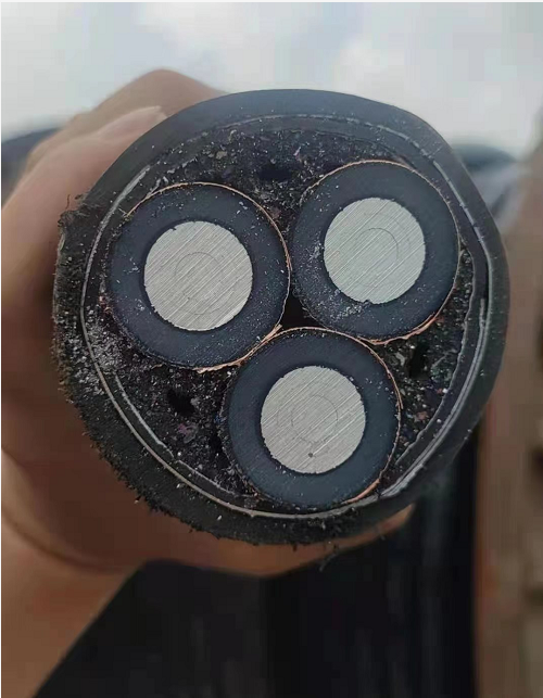 1650353498522405.png image.png